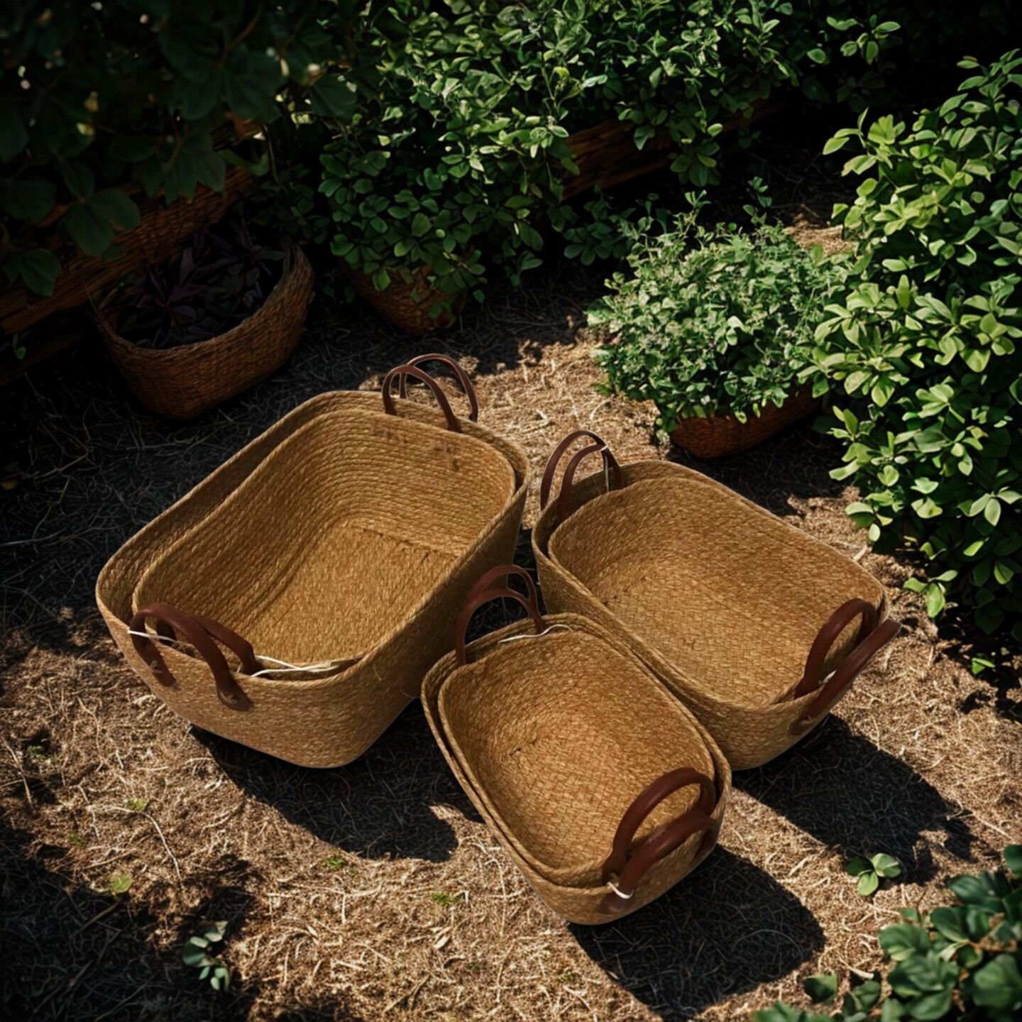 Cestas casas Teresa - Imagen 11